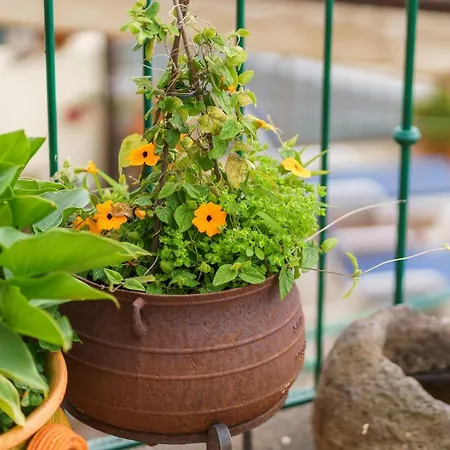 Guestready - Charming Retreat In Φουνκάλ